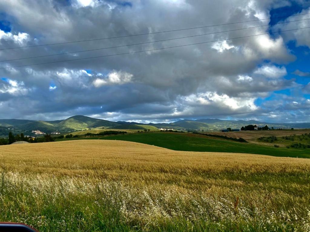 Podere Il Mulino Pieve di Santa Luce Esterno foto