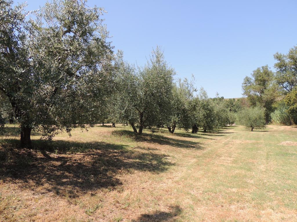 Podere Il Mulino Pieve di Santa Luce Esterno foto