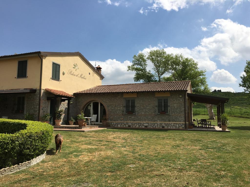 Podere Il Mulino Pieve di Santa Luce Esterno foto